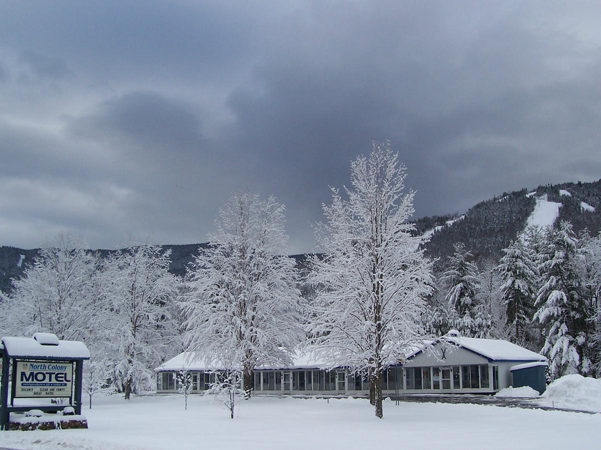 North Colony Motel And Cottages Bartlett Dış mekan fotoğraf